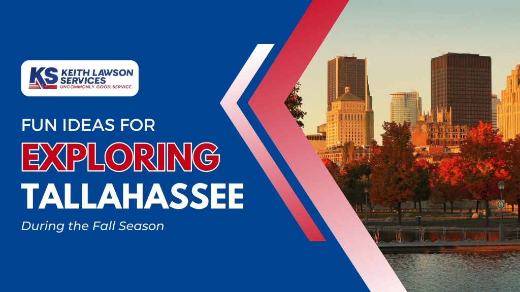 Fun Ideas for Exploring Tallahassee During the Fall Season