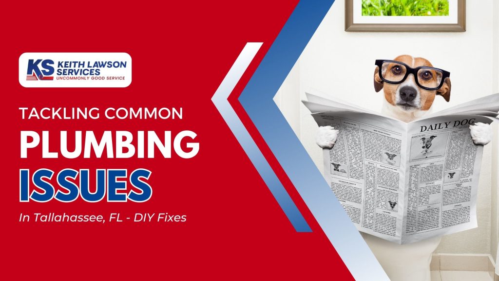 DIY Fixes: Tackling Common Plumbing Issues in Tallahassee, FL