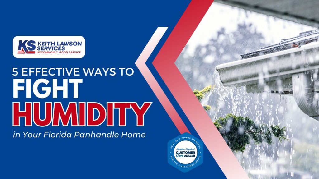 5 Effective Ways to Fight Humidity in Your Florida Panhandle Home