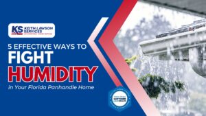 5 Effective Ways to Fight Humidity in Your Florida Panhandle Home