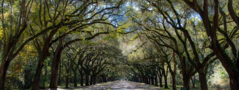 Centerville FL Keith Lawson Services Plumbing HVAC