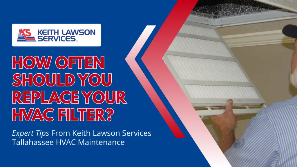 DIY plumbing vs professional repair comparison in Tallahassee home