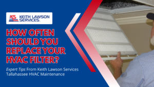 DIY plumbing vs professional repair comparison in Tallahassee home