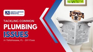 DIY Fixes: Tackling Common Plumbing Issues in Tallahassee, FL